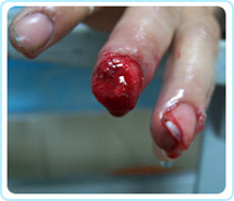 腾博会官网 - 诚信为本,专业效劳!