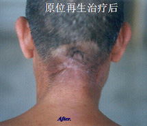 腾博会官网 - 诚信为本,专业效劳!