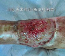 腾博会官网 - 诚信为本,专业效劳!