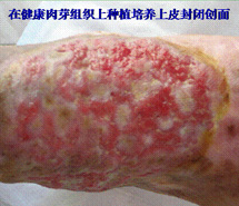 腾博会官网 - 诚信为本,专业效劳!