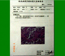 腾博会官网 - 诚信为本,专业效劳!