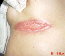 腾博会官网 - 诚信为本,专业效劳!