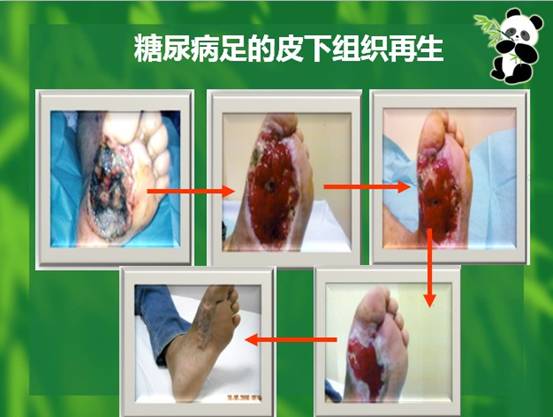 腾博会官网 - 诚信为本,专业效劳!