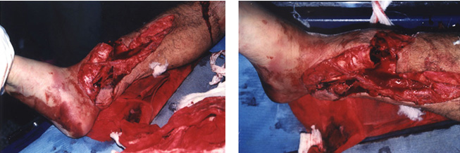 腾博会官网 - 诚信为本,专业效劳!