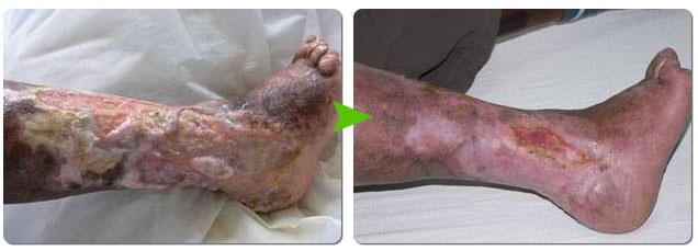 腾博会官网 - 诚信为本,专业效劳!