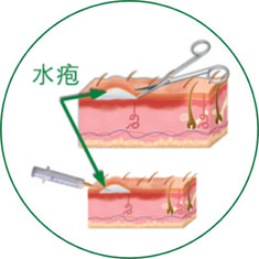 腾博会官网 - 诚信为本,专业效劳!