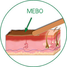 腾博会官网 - 诚信为本,专业效劳!