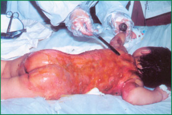 腾博会官网 - 诚信为本,专业效劳!