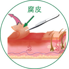 腾博会官网 - 诚信为本,专业效劳!