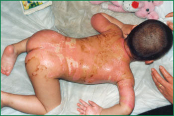 腾博会官网 - 诚信为本,专业效劳!