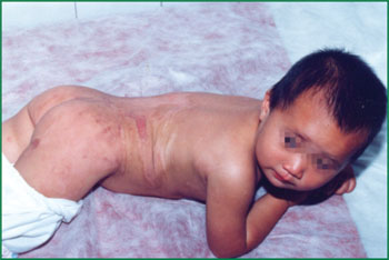 腾博会官网 - 诚信为本,专业效劳!