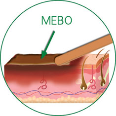 腾博会官网 - 诚信为本,专业效劳!