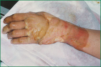 腾博会官网 - 诚信为本,专业效劳!