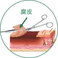 腾博会官网 - 诚信为本,专业效劳!