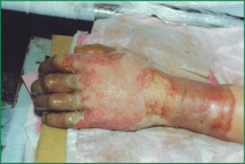 腾博会官网 - 诚信为本,专业效劳!