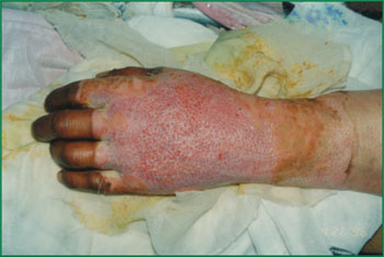 腾博会官网 - 诚信为本,专业效劳!