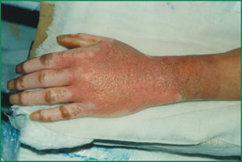 腾博会官网 - 诚信为本,专业效劳!