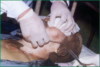 腾博会官网 - 诚信为本,专业效劳!