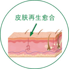 腾博会官网 - 诚信为本,专业效劳!
