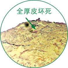 腾博会官网 - 诚信为本,专业效劳!