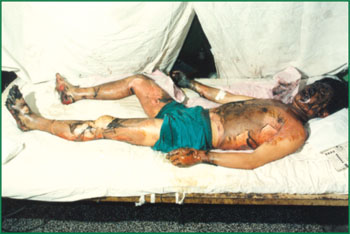 腾博会官网 - 诚信为本,专业效劳!