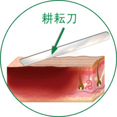 腾博会官网 - 诚信为本,专业效劳!