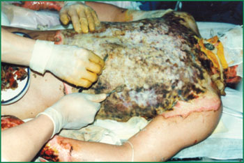 腾博会官网 - 诚信为本,专业效劳!