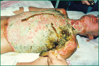 腾博会官网 - 诚信为本,专业效劳!