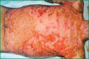 腾博会官网 - 诚信为本,专业效劳!