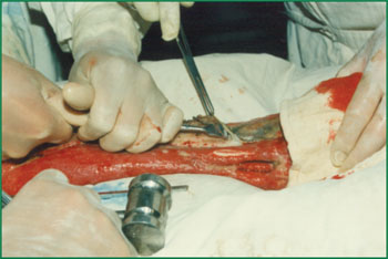 腾博会官网 - 诚信为本,专业效劳!