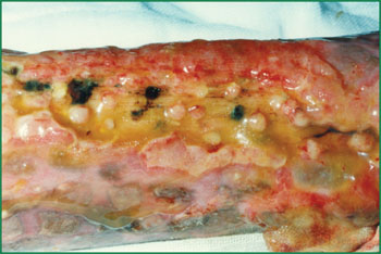 腾博会官网 - 诚信为本,专业效劳!