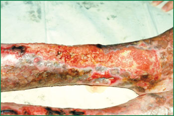 腾博会官网 - 诚信为本,专业效劳!