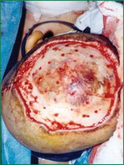 腾博会官网 - 诚信为本,专业效劳!