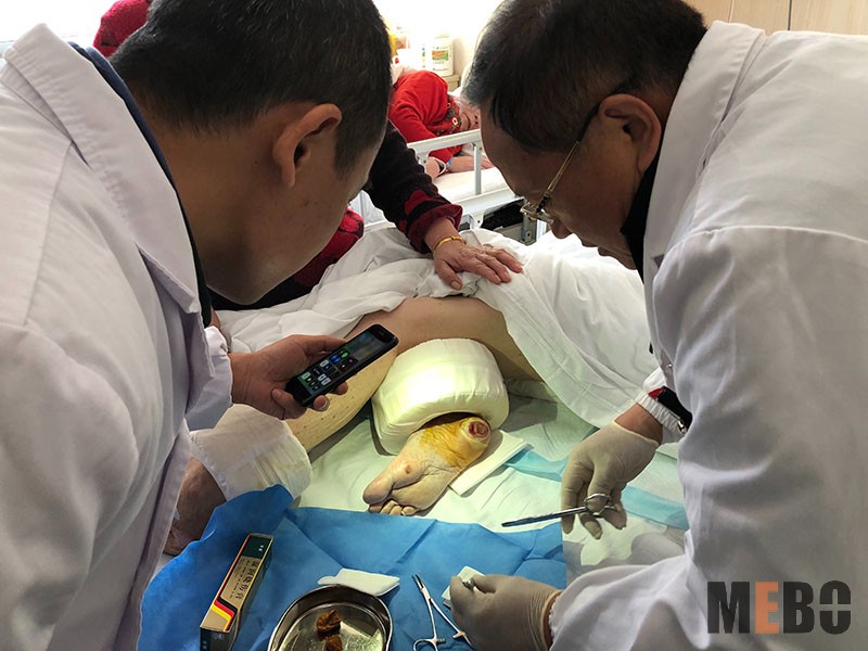 腾博会官网 - 诚信为本,专业效劳!