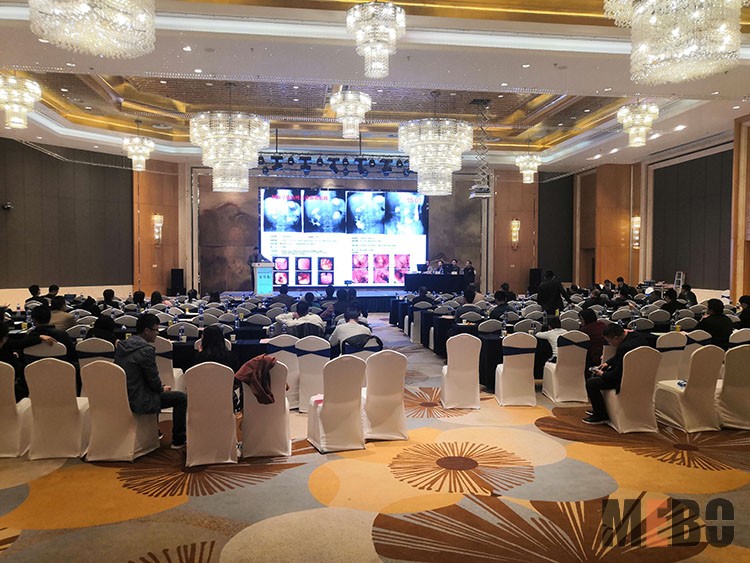 腾博会官网 - 诚信为本,专业效劳!