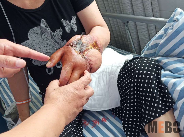 腾博会官网 - 诚信为本,专业效劳!