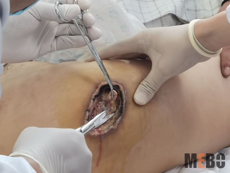 腾博会官网 - 诚信为本,专业效劳!