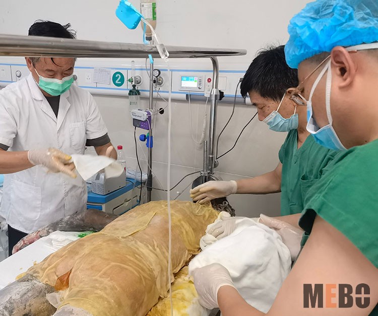 腾博会官网 - 诚信为本,专业效劳!