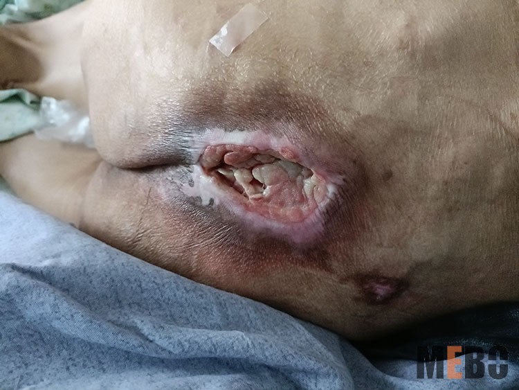 腾博会官网 - 诚信为本,专业效劳!