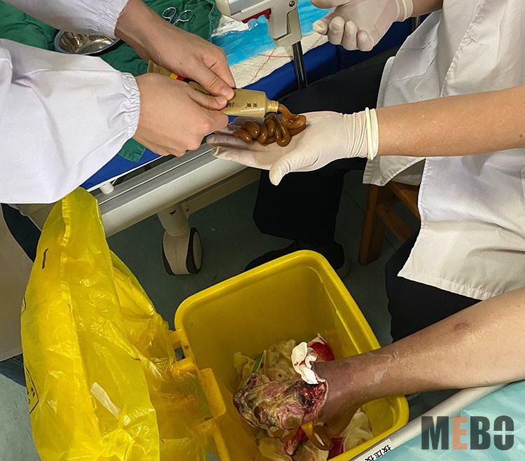 腾博会官网 - 诚信为本,专业效劳!