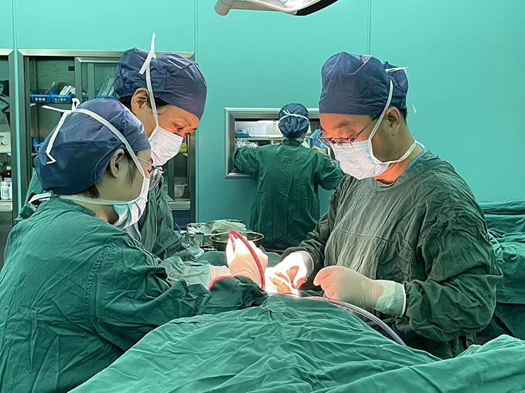 腾博会官网 - 诚信为本,专业效劳!