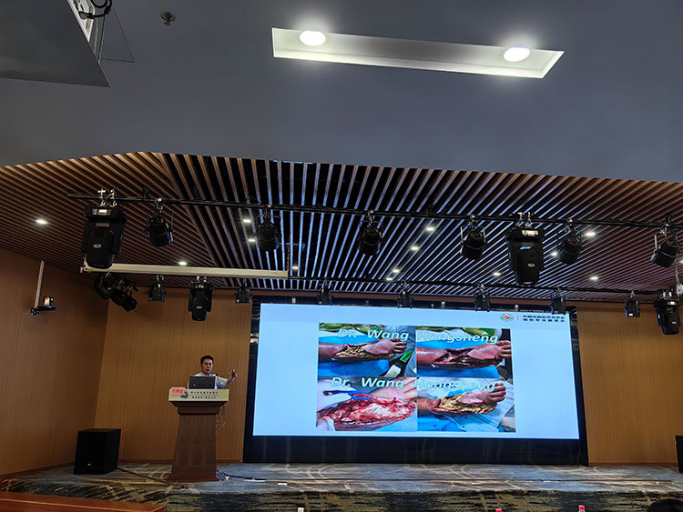 腾博会官网 - 诚信为本,专业效劳!