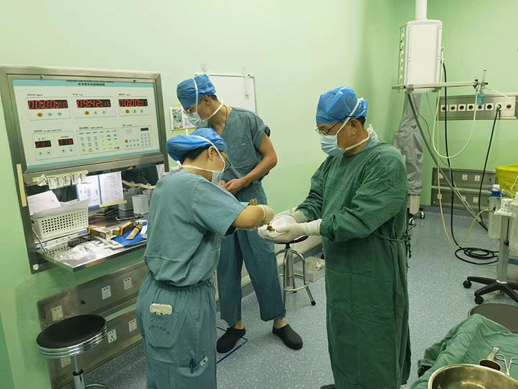 腾博会官网 - 诚信为本,专业效劳!