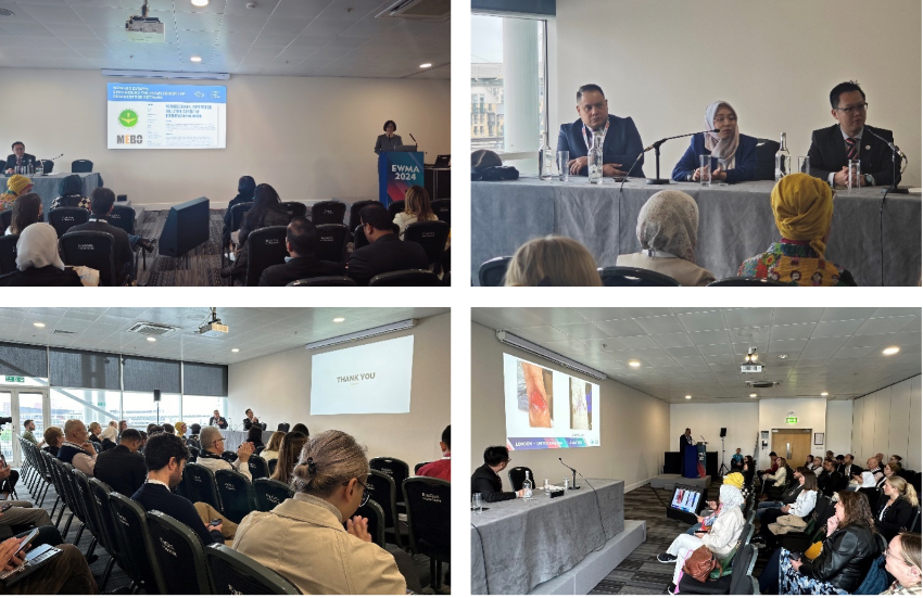 腾博会官网 - 诚信为本,专业效劳!