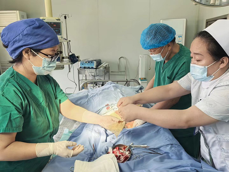 腾博会官网 - 诚信为本,专业效劳!