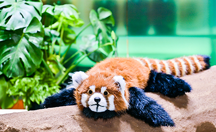 腾博会官网 - 诚信为本,专业效劳!