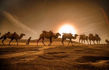 腾博会官网国际 “一带一起”建议培训平台