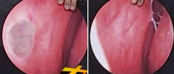 腾博会官网 - 诚信为本,专业效劳!