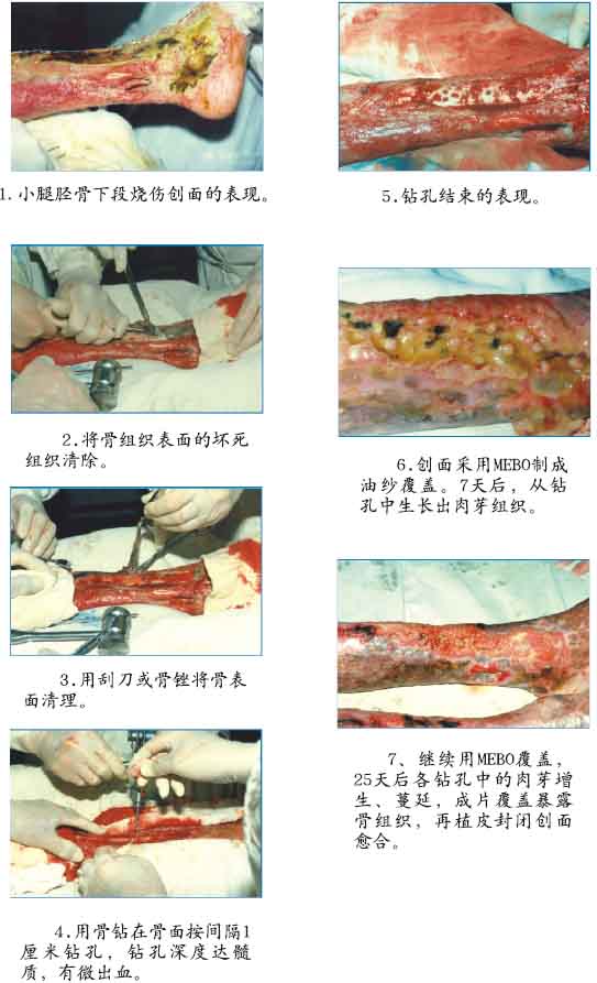 腾博会官网 - 诚信为本,专业效劳!