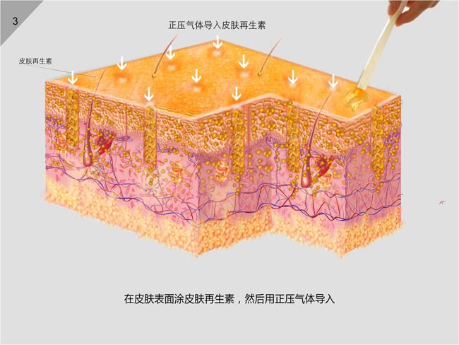 腾博会官网 - 诚信为本,专业效劳!